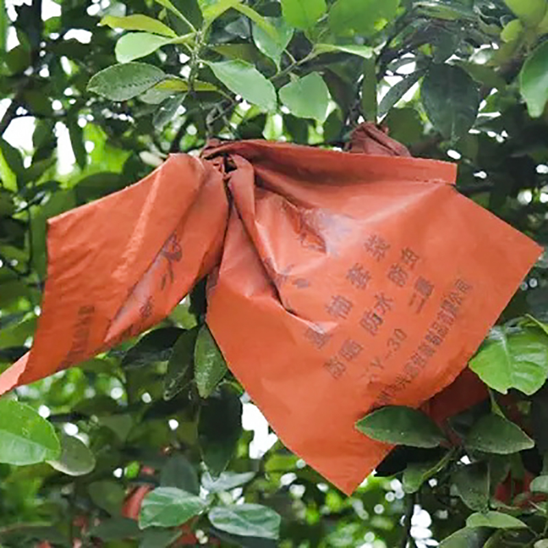 Pomelo Praesidium Bag